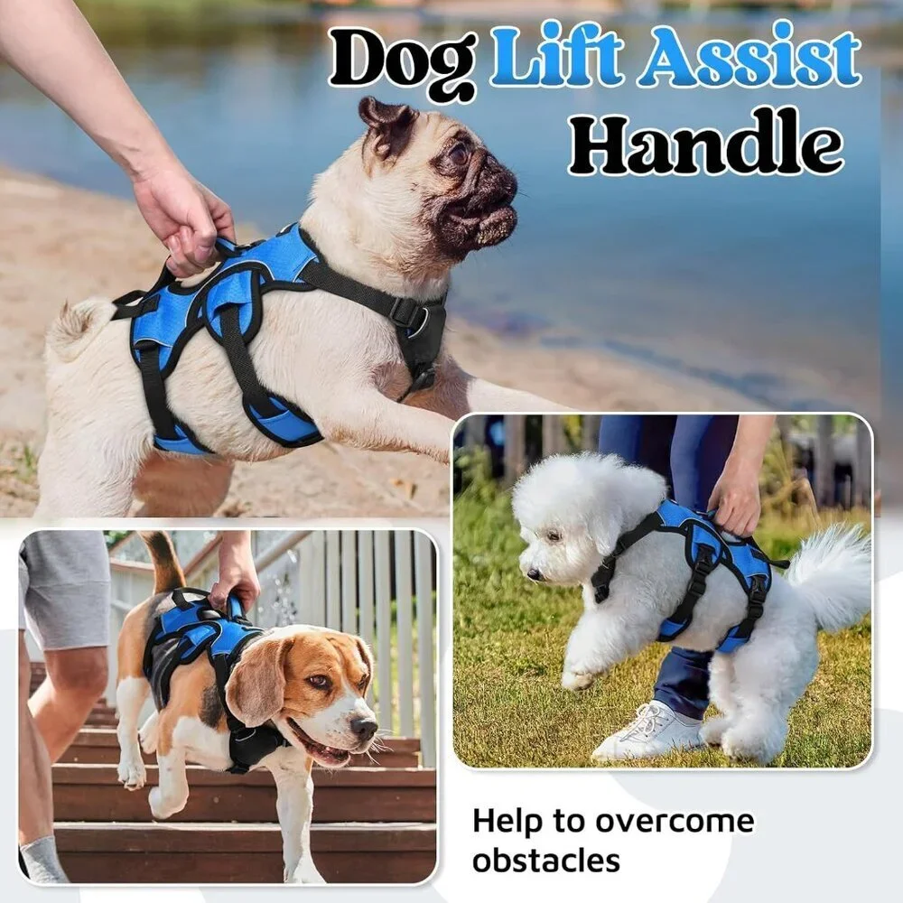 Escape Proof Dog Harness